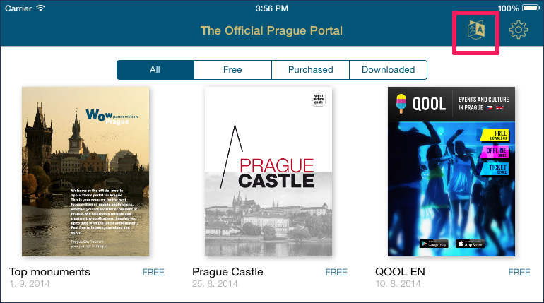 Language switch icon